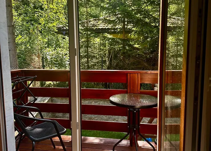 Strumyk 卡尔帕奇