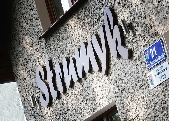 住宿加早餐酒店 Strumyk